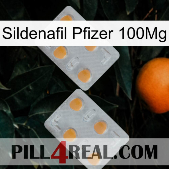 Sildenafil Pfizer 100Mg 25.jpg